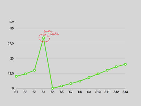 Boom Bust Tendinopathie